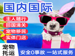银川河东机场邮寄国际宠物托运 【国